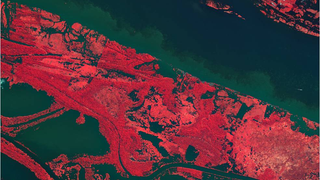 El Amazonas desde el espacio, como nunca lo habías visto